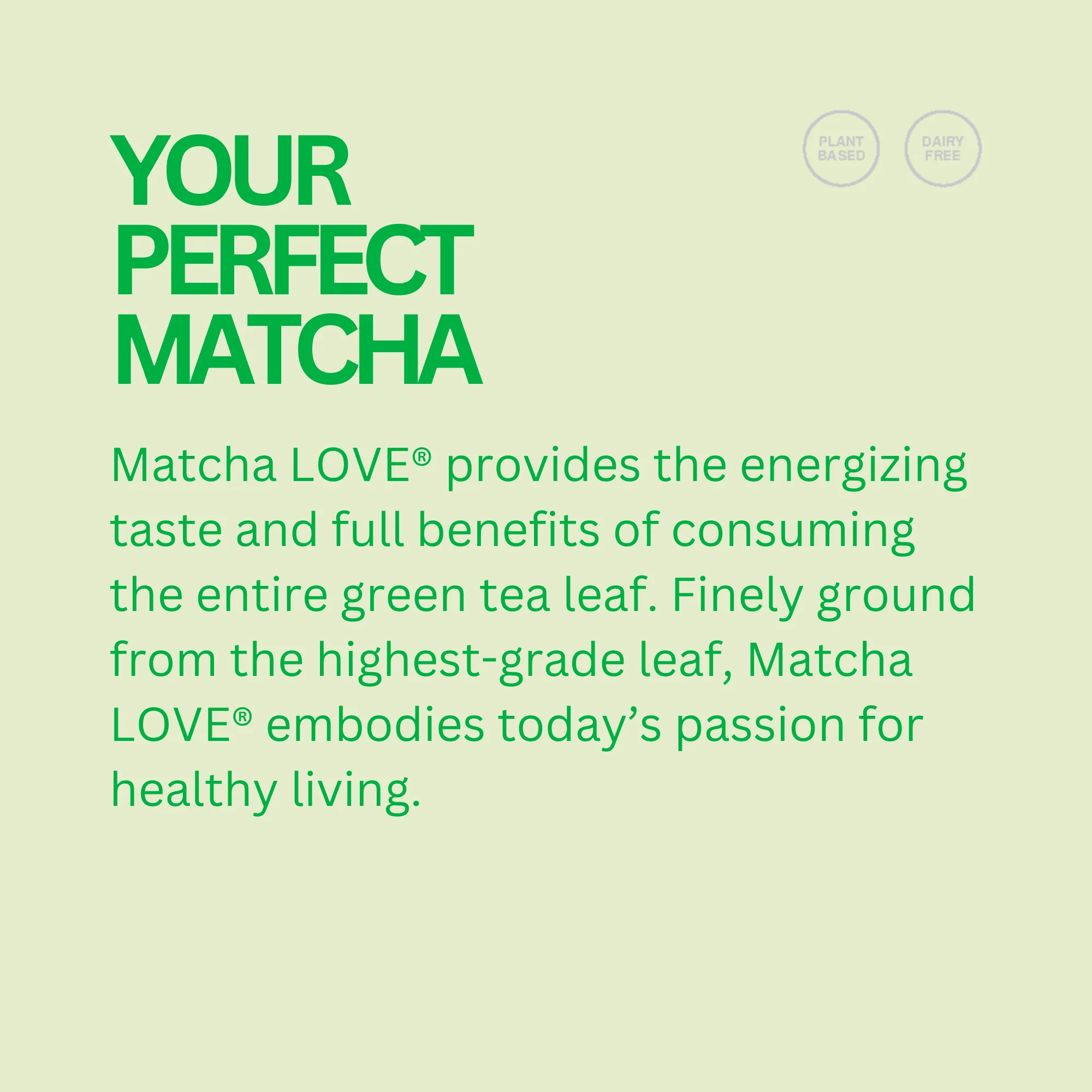 Sweetened Matcha + Green Tea - Image 3