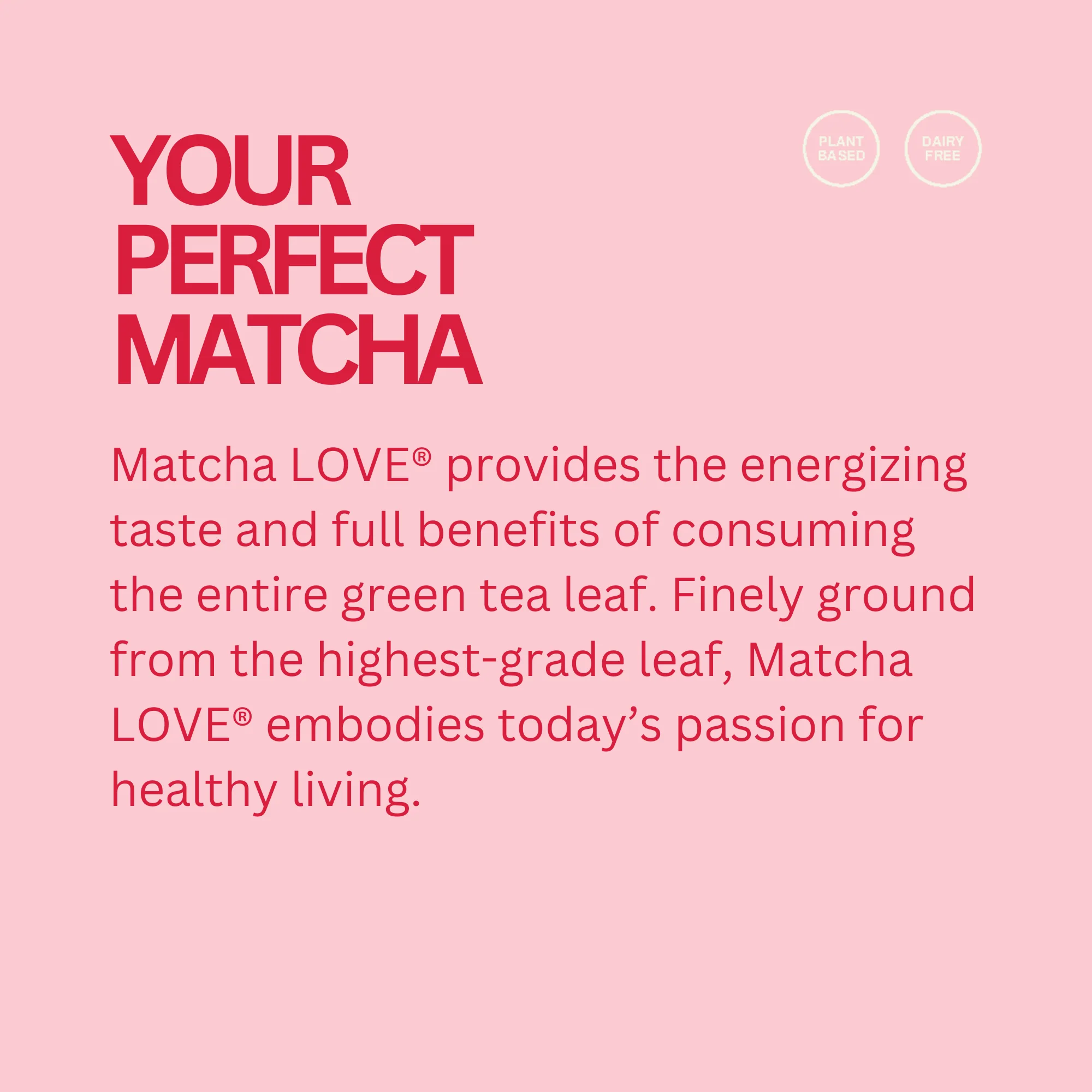 Sweetened Strawberry Matcha + Green Tea - Image 3