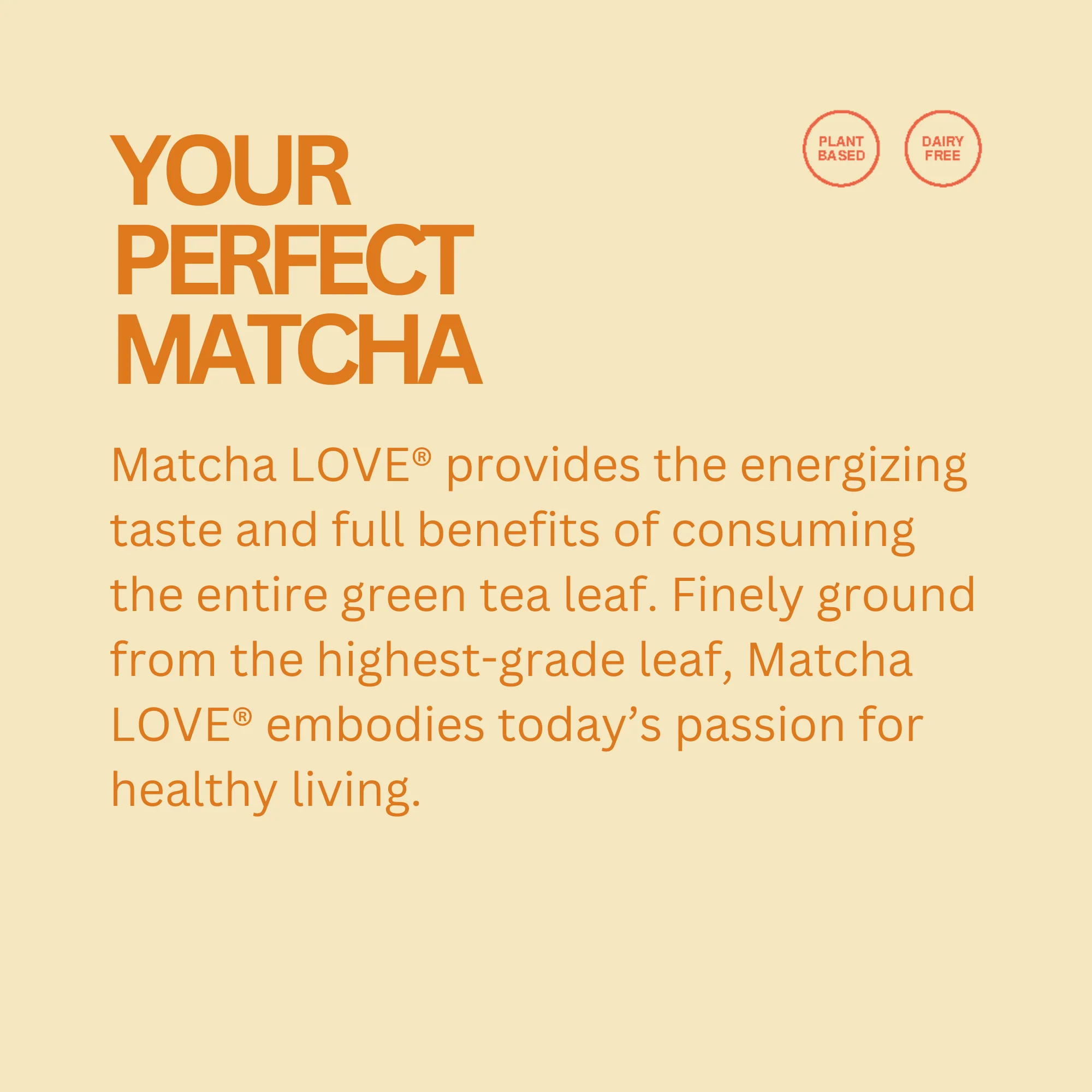 Unsweetened Ginger Matcha + Green Tea - Image 3