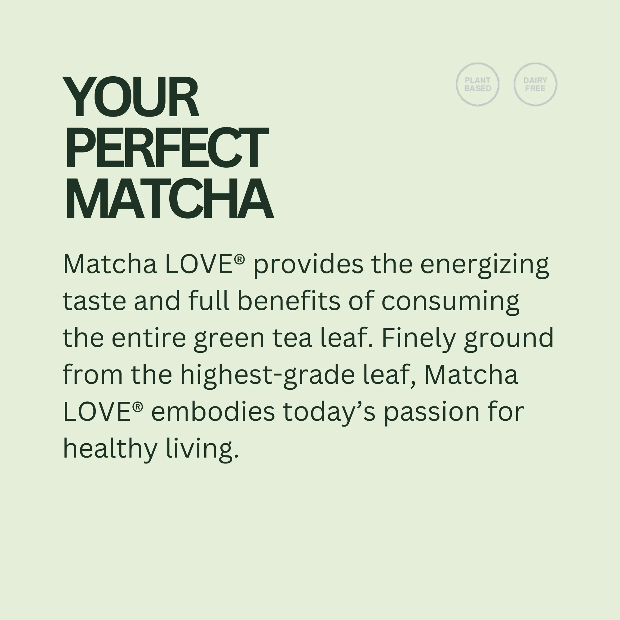 Unsweetened Matcha + Green Tea - Image 3